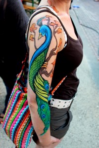 peacock